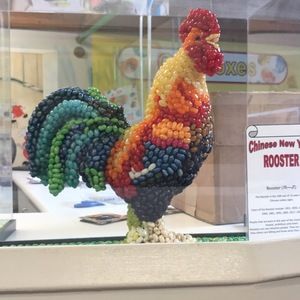 Meet your Posher, Ernesto